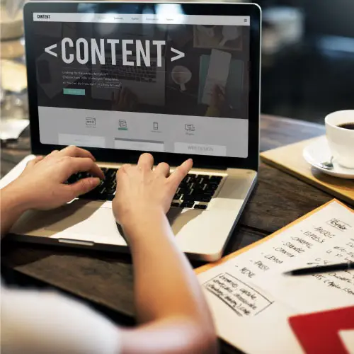 Web Development 